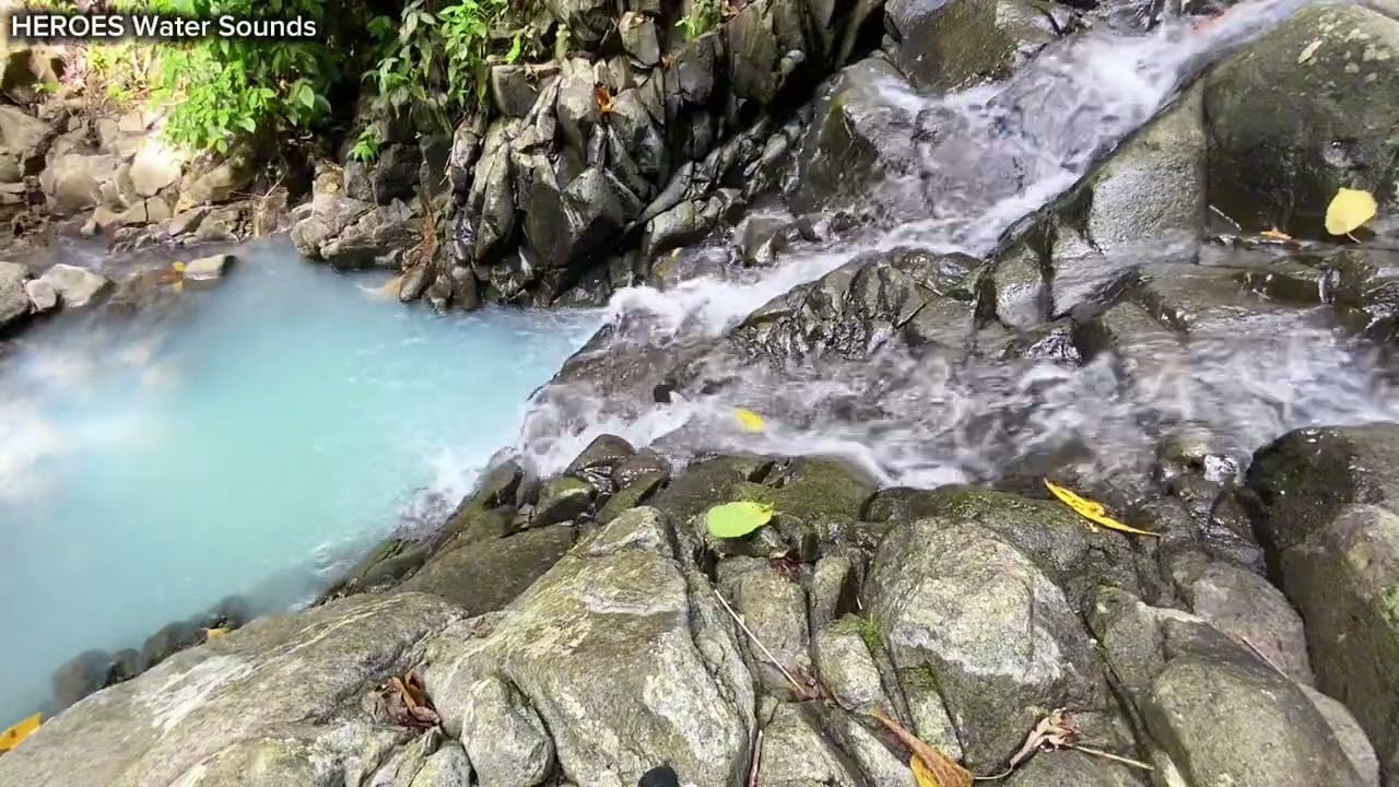 Gentle Waterfall in the Forest | Pure Nature Sounds