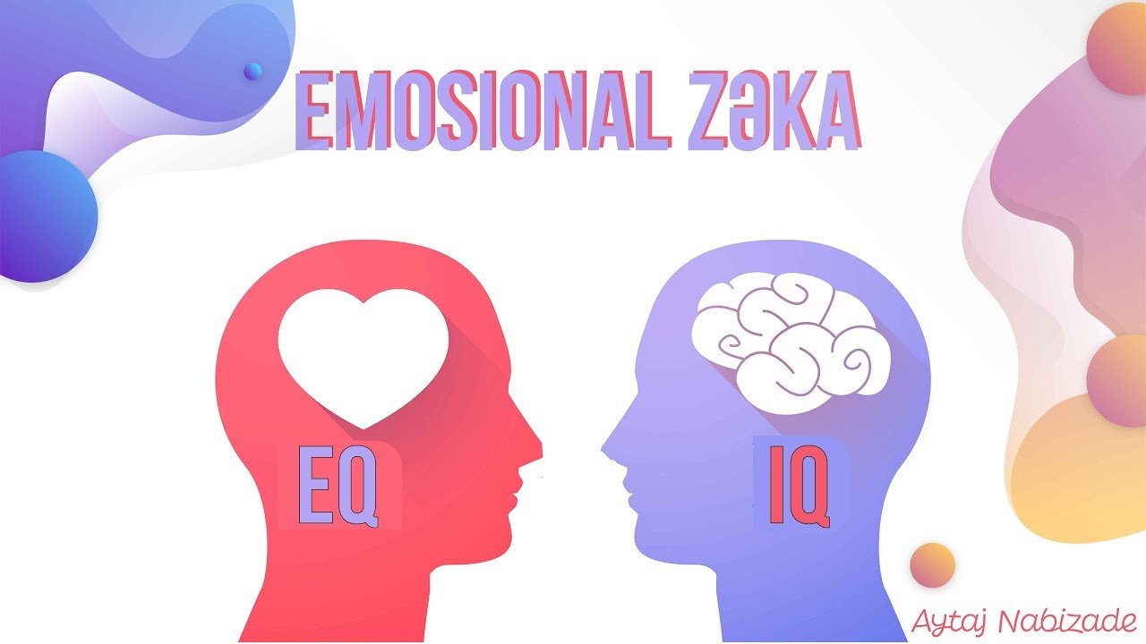 EQ | EMOSİONAL İNTELLEKT NƏDİR? | Emosional İntellekt Haqqında