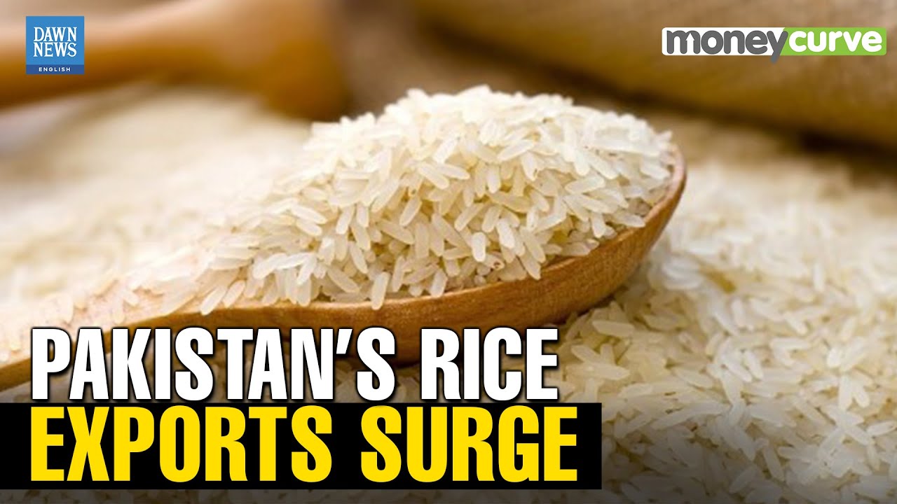 Pakistan Becomes World&rsquo;s 3rd Largest Rice Exporter in December | Basmati | Dawn News English
