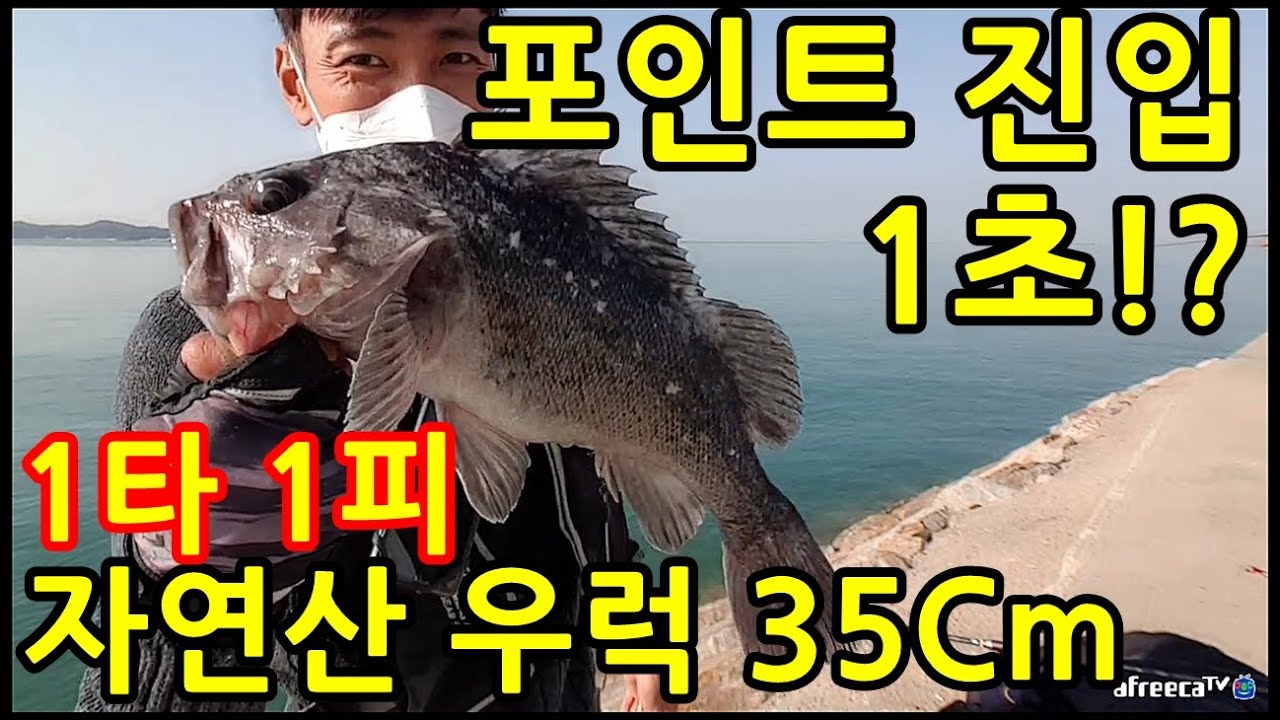 주차하고 바로 던지는 우럭 루어낚시! 잘나와도 너무 잘나와!