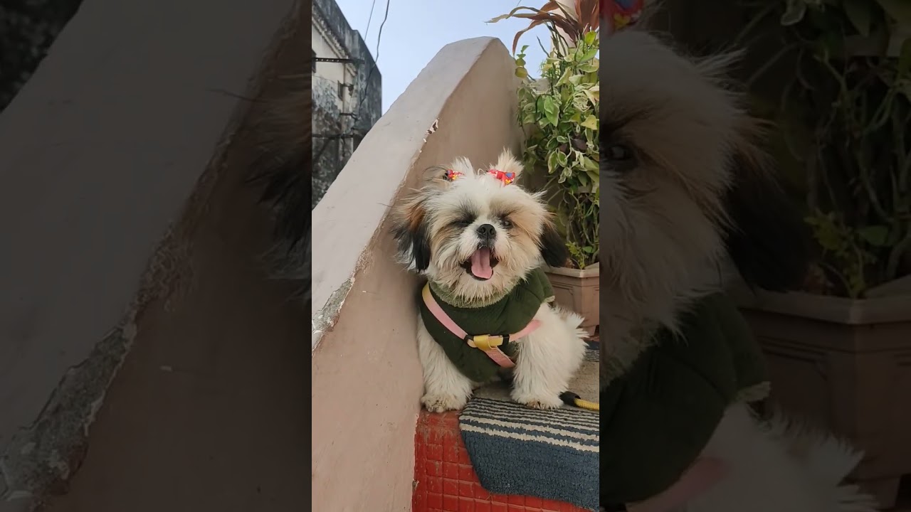 kya aap Thandi se pareshan hai 