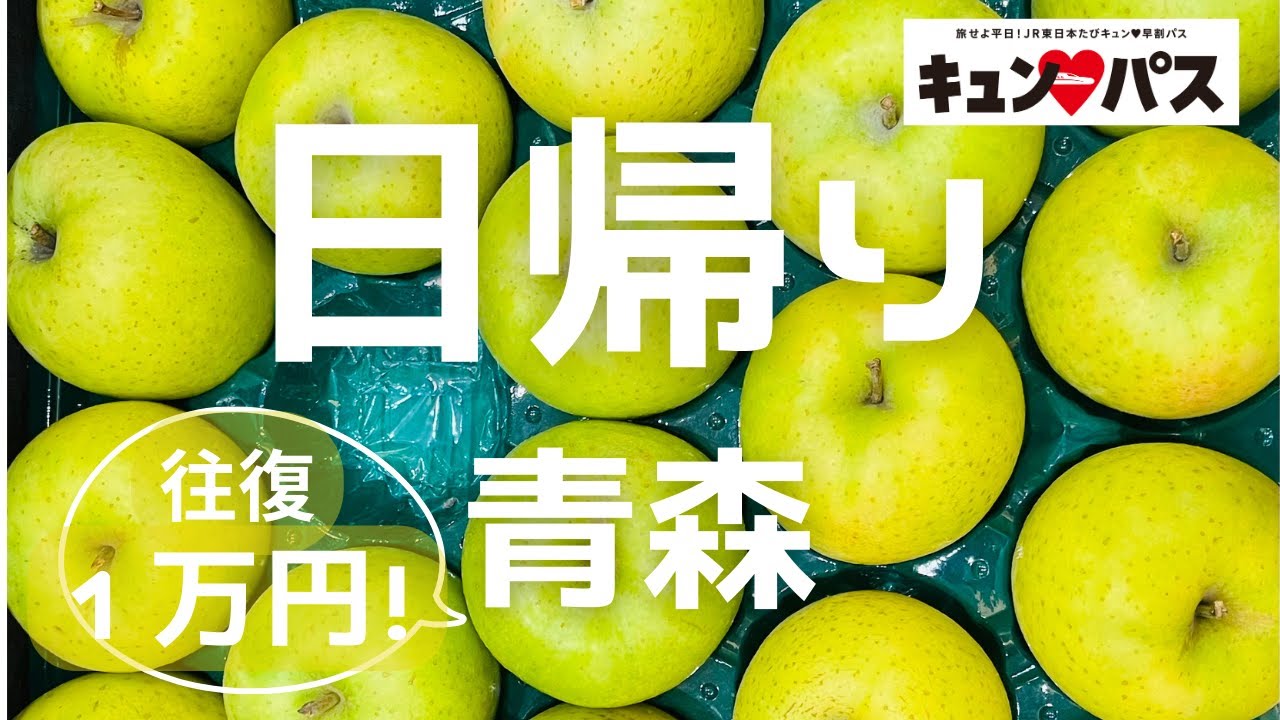 【弾丸❗️東京から日帰り青森】滞在時間わずか5時間でどれだけ楽しめるか❓　新幹線往復1万円の「キュンパス」利用で日帰り青森旅✨