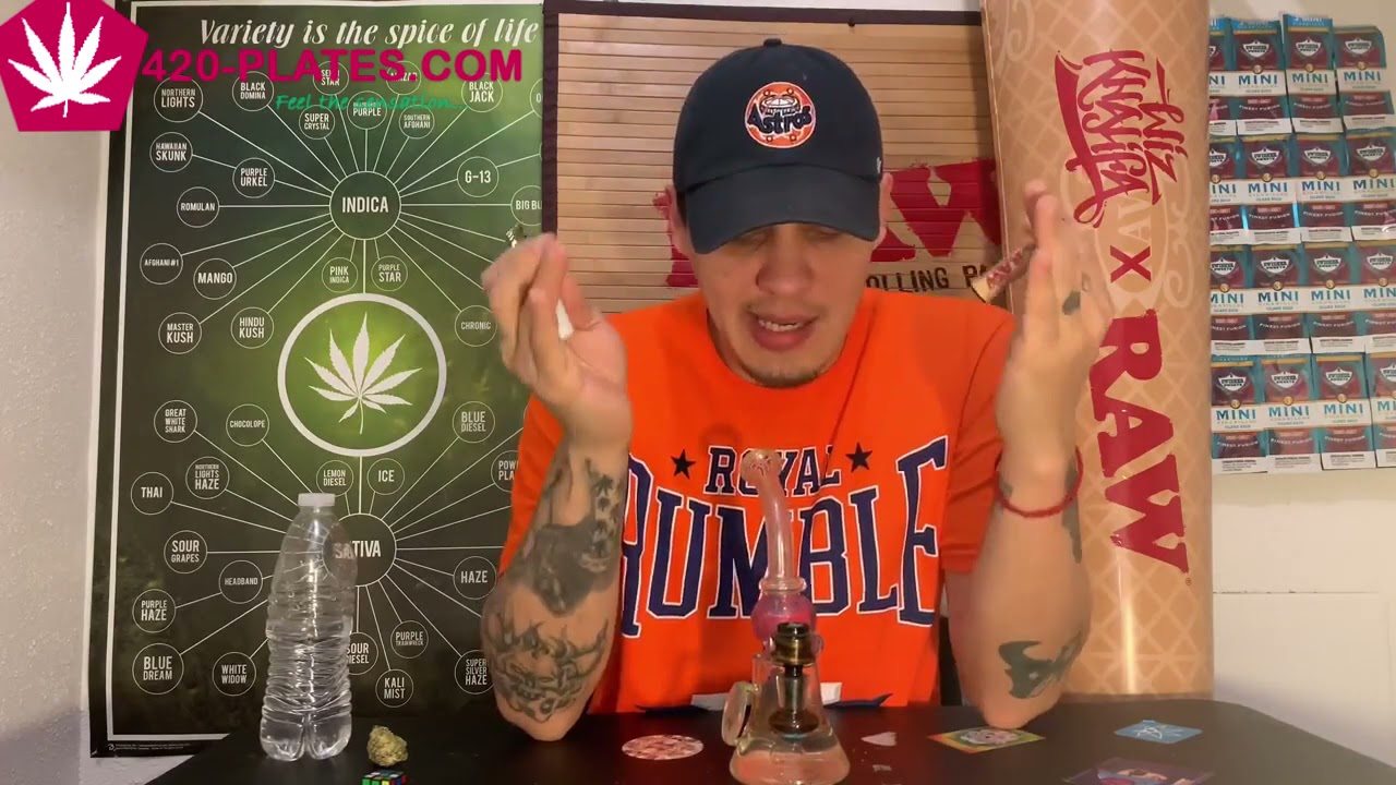 platinium OG strain
