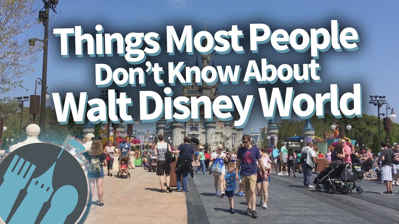 Things Most People Don't Know About Walt Disney World!