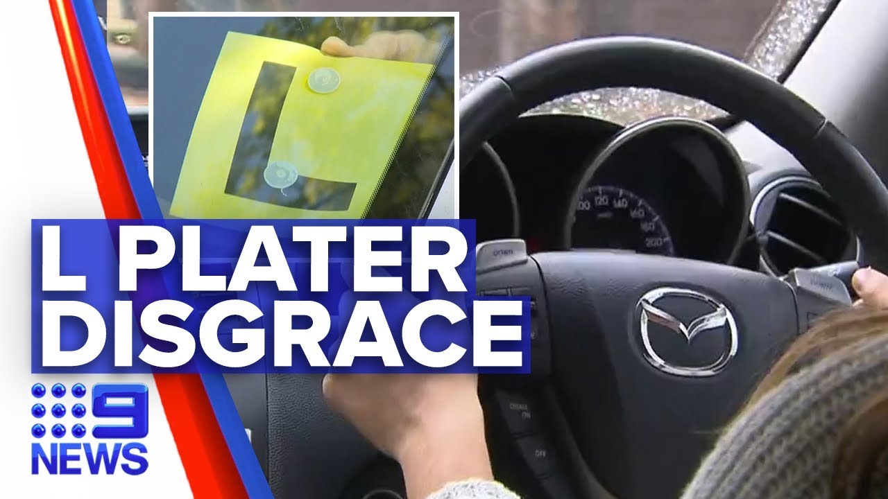 Government survey reveal instructor corruption | Nine News Australia