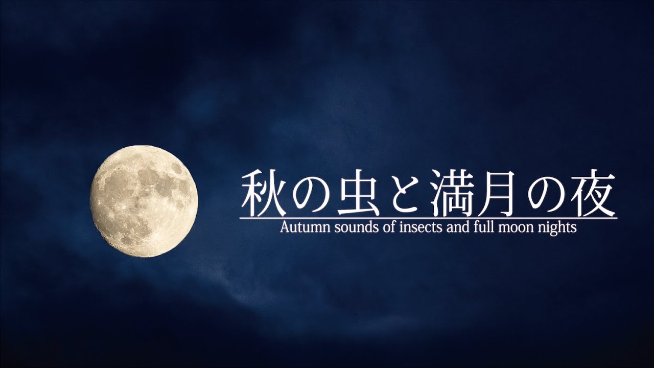 【安眠用BGM】秋の虫と満月の夜 6時間