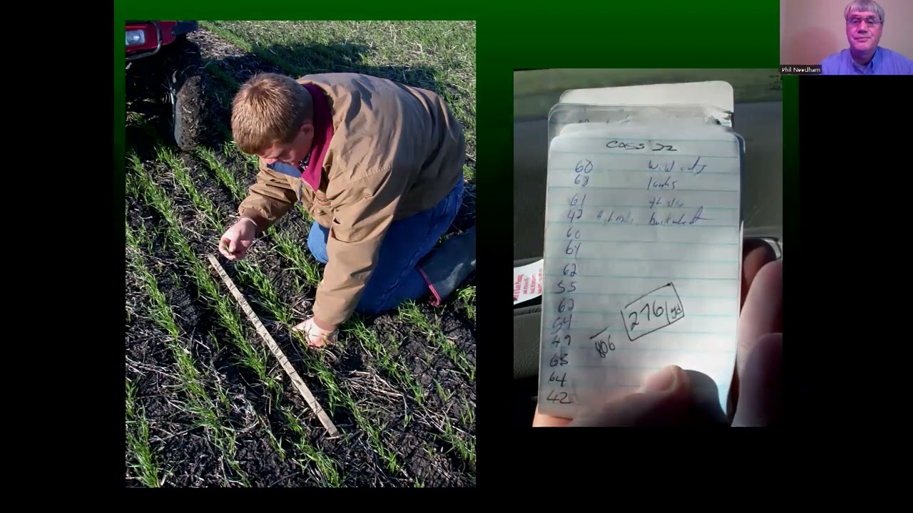 Creating the Potential for Higher Yields - Phil Needham