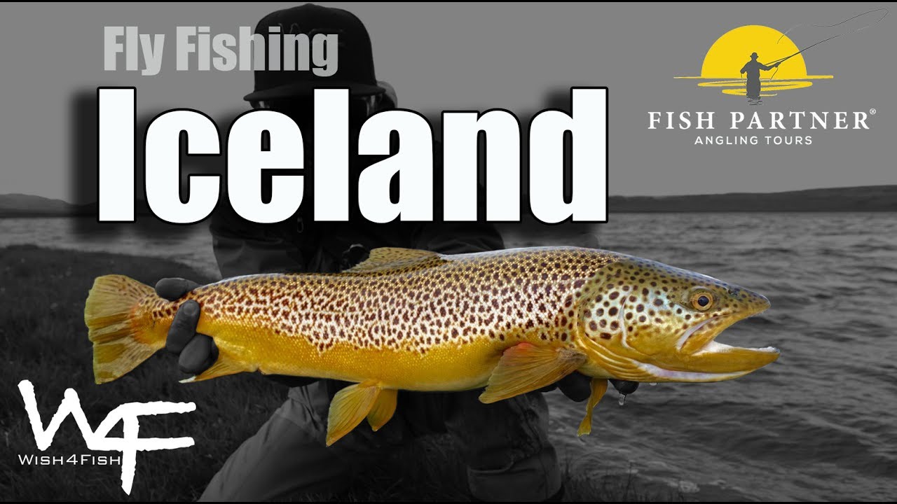 W4F - Fly Fishing Iceland 