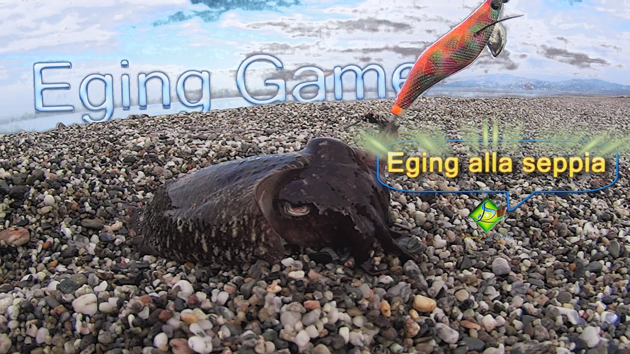 Eging alla seppia parte 1°