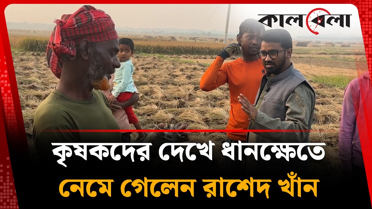 কৃষকদের দেখে ধানক্ষেতে নেমে গেলেন রাশেদ খাঁন | Rashed khan | Gono odhikar Parishad | Kalbela