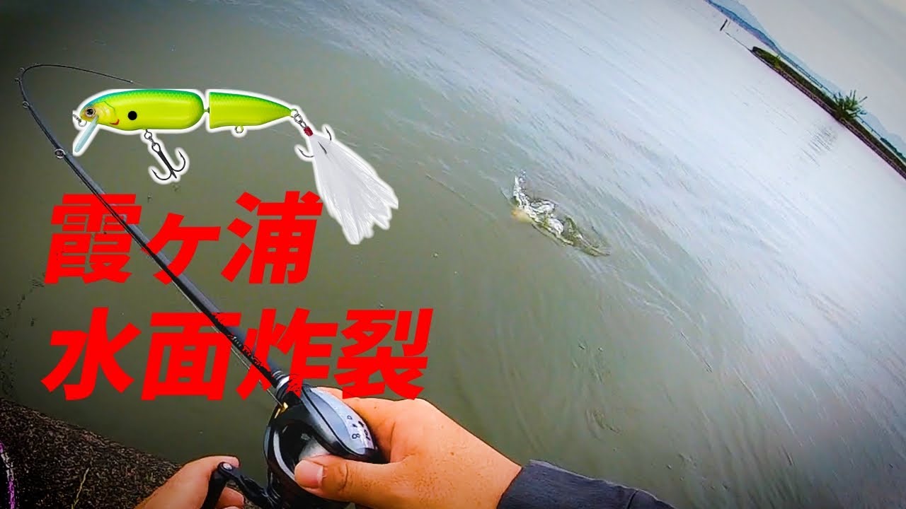 霞ヶ浦　トップウォーター