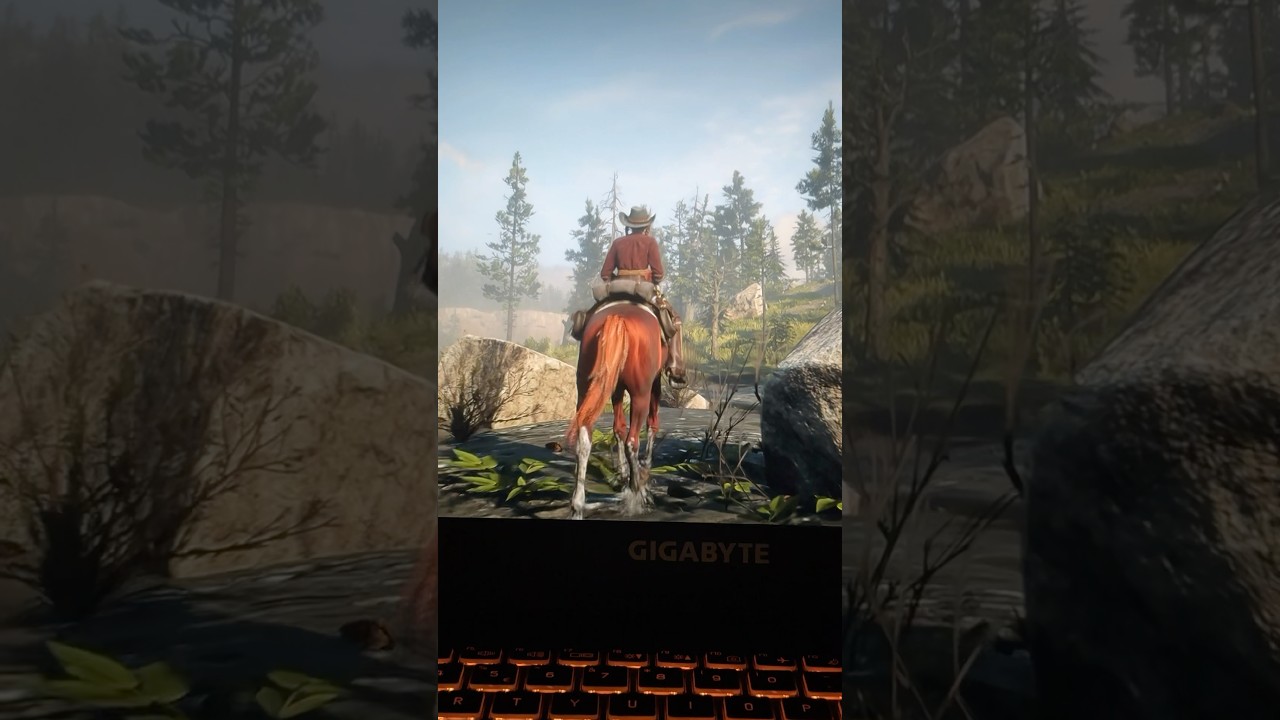 Beautiful game #rdo #rdonline #rdr2online