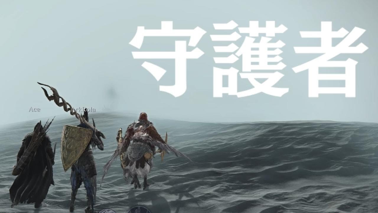 守護者アーツいいね【ELDEN RING NIGHTREIGN】