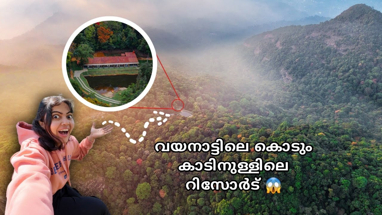 ലോകത്തിലെ HIGHEST ജംഗിൾ റീസർട്ടുകളിലൊന്നിൽ താമസിച്ചാലോ? | JUNGLE PARK RESORT WAYANAD | Travelbee