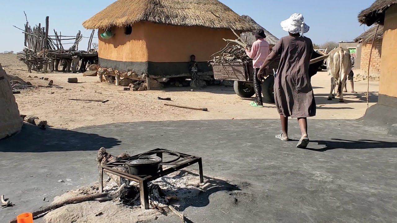 Village life in Zimbabwe 🇿🇼.