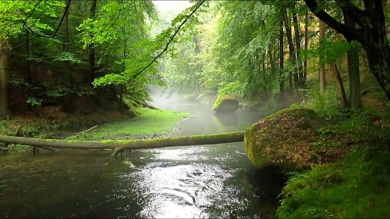 Kamnitzklamm Unwegsamer Teil - Böhmische Schweiz