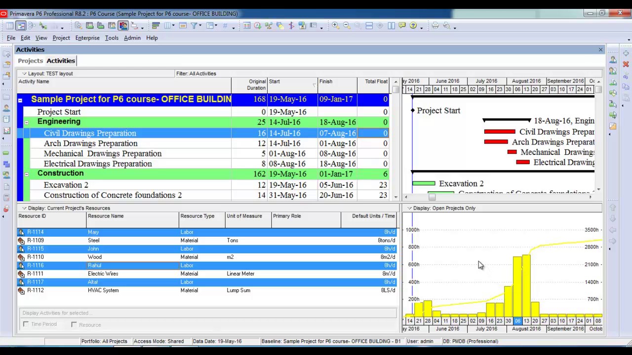 Stacked Histogram and S Curve in Primavera P6
