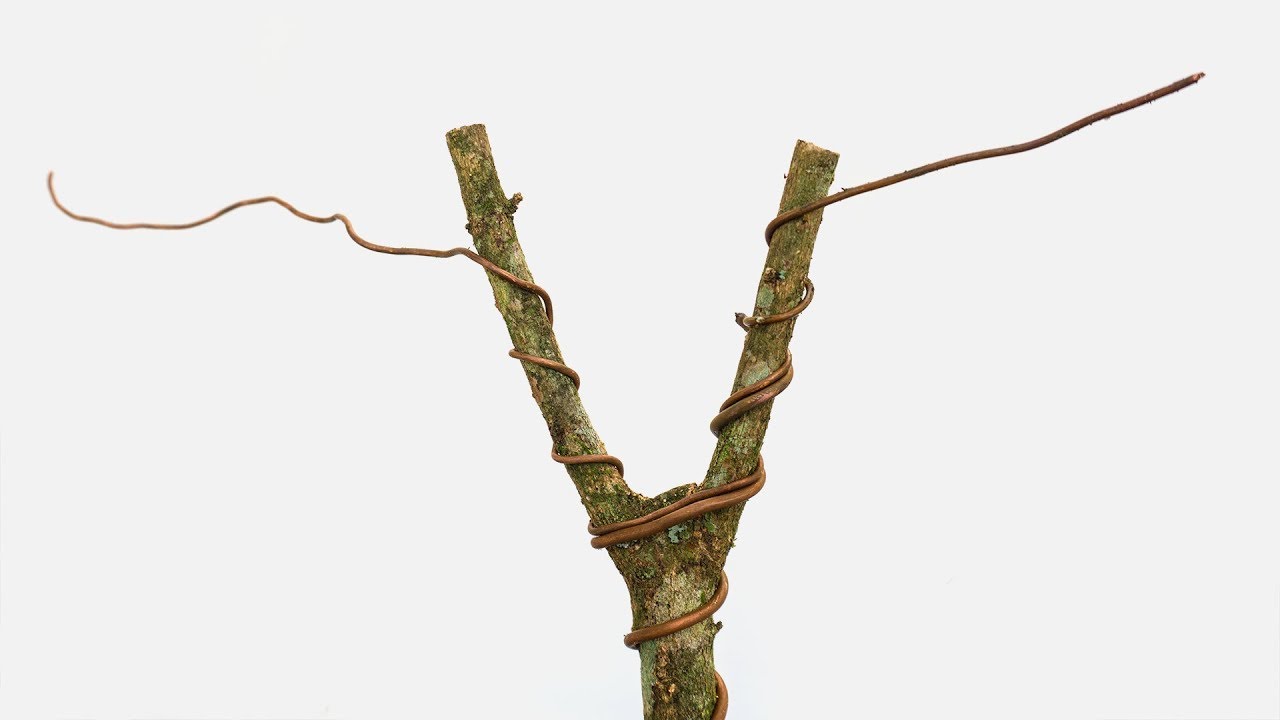 Técnincas de Alambrado Básico - Qué Hago? - Nº6