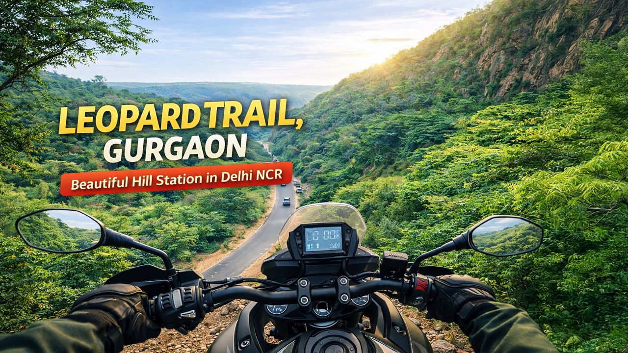 LEOPARD TRAIL, GURGAON D 🐆 Leopard Trail Gurgaon cafe | Jungle Cafe | Mini Hill Station In Delhi NCR