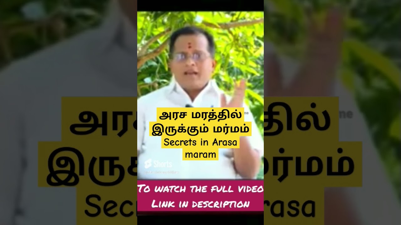 அரச மரத்தில் இருக்கும் மர்மம்/ Secrets in Arasa Maram #shorts #short #mahasreerajhan