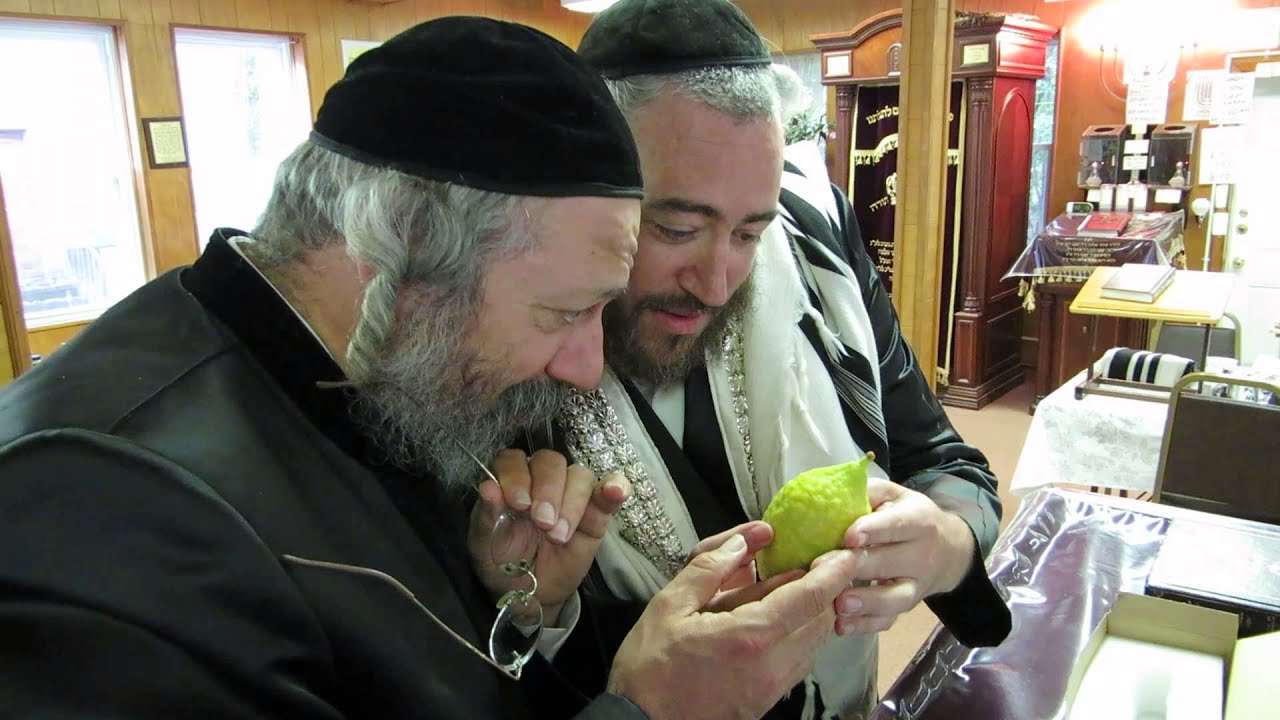 a chosid showing the niklesburg rebbe his esrog he bought for yom tov