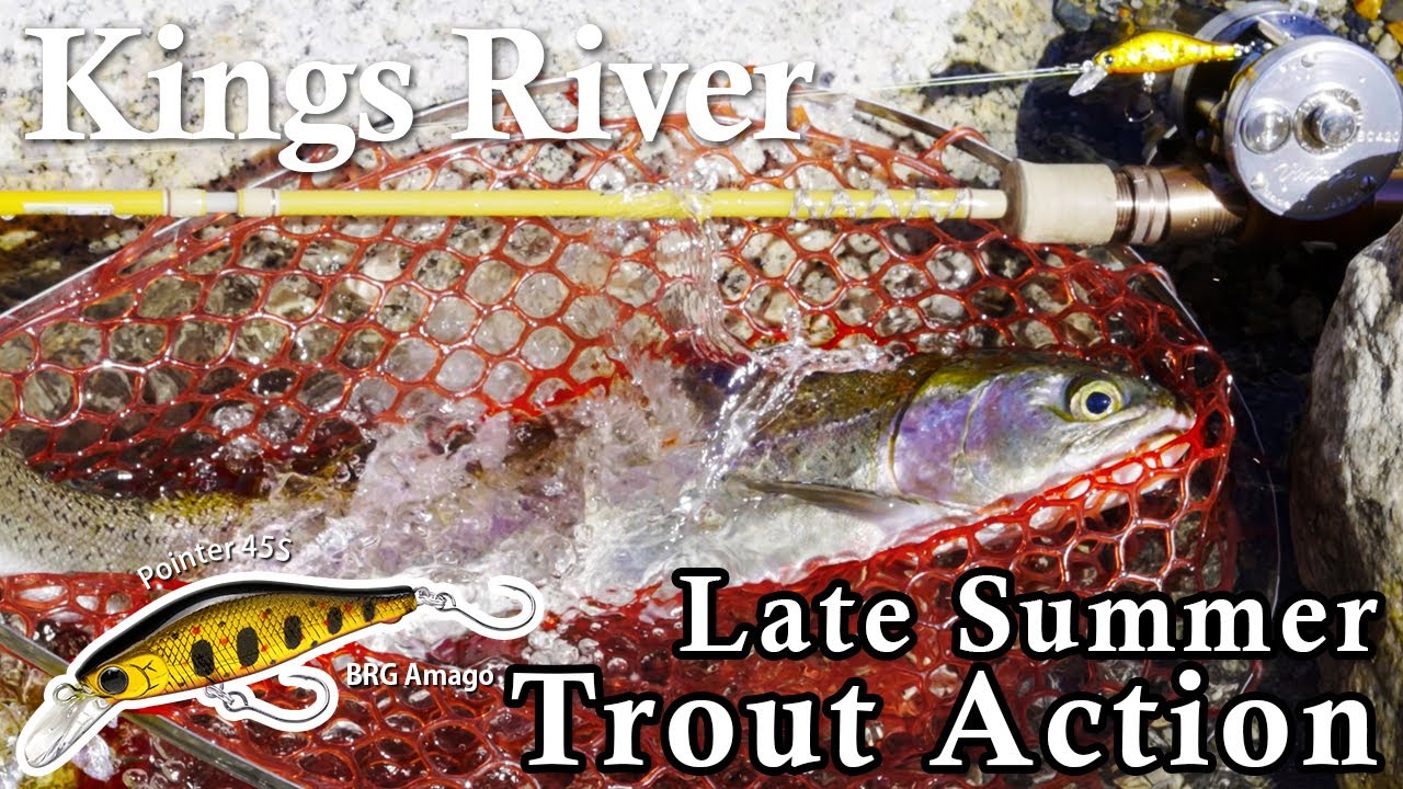 Late Summer Trout Action at Kings River【BFS Trout Fishing】