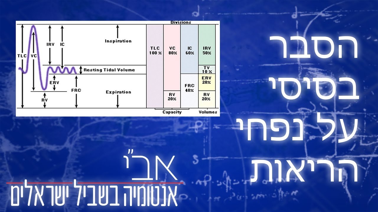 נפחי ריאות