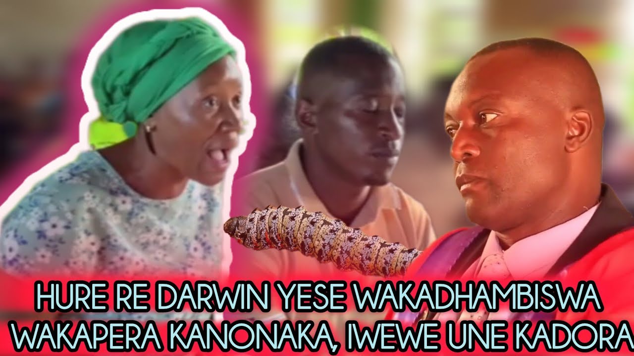 CHIEF NYAMAROPA MURUME  ANE KADORA, ANONDITI NDAKADHAMBA KUZASI NDAKANYENGWA NE MT DARWIN YESE