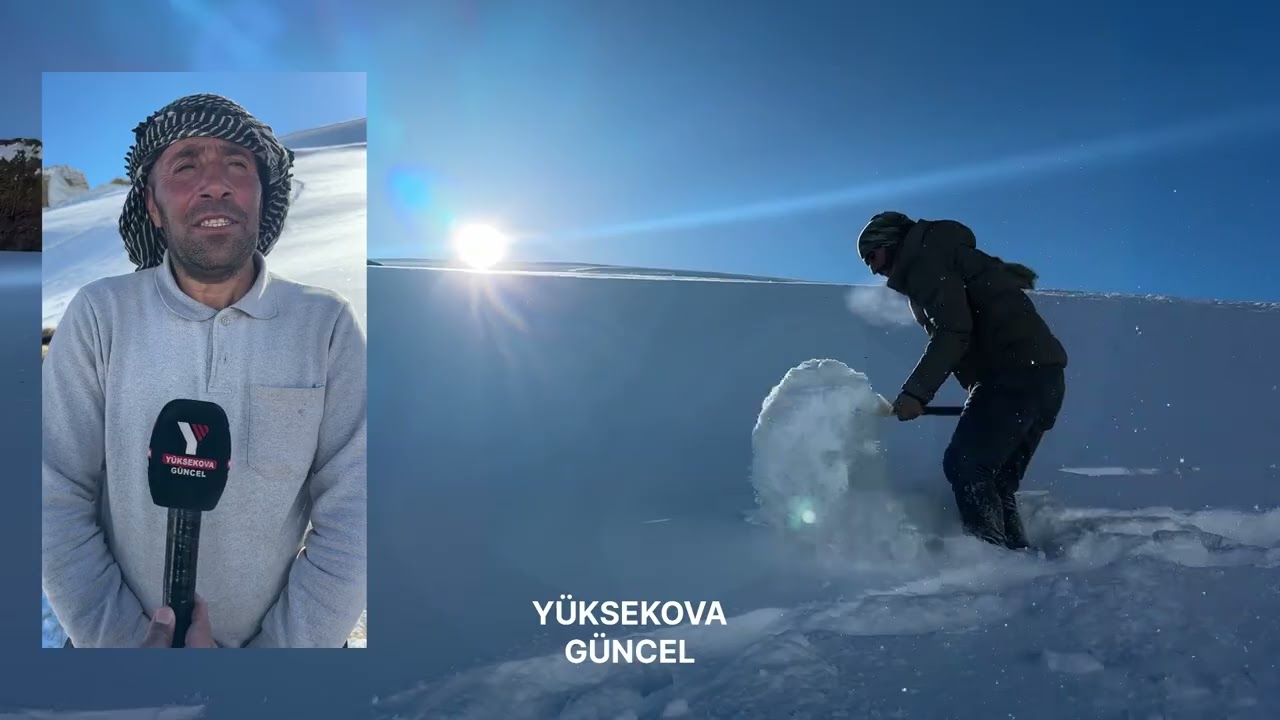 Kar Kalınlığının 1,5 Metreyi Aştığı Yüksekova’da Besicilerin zorlu kış mesaisi