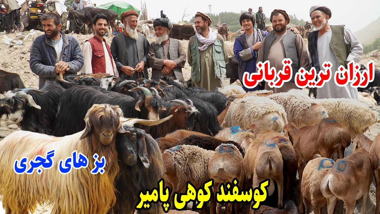 آمد آمد عید قربان، قیمت قربانی در بازار بدخشان، قصه های بدخشانی  Badakhshan Afghanistan