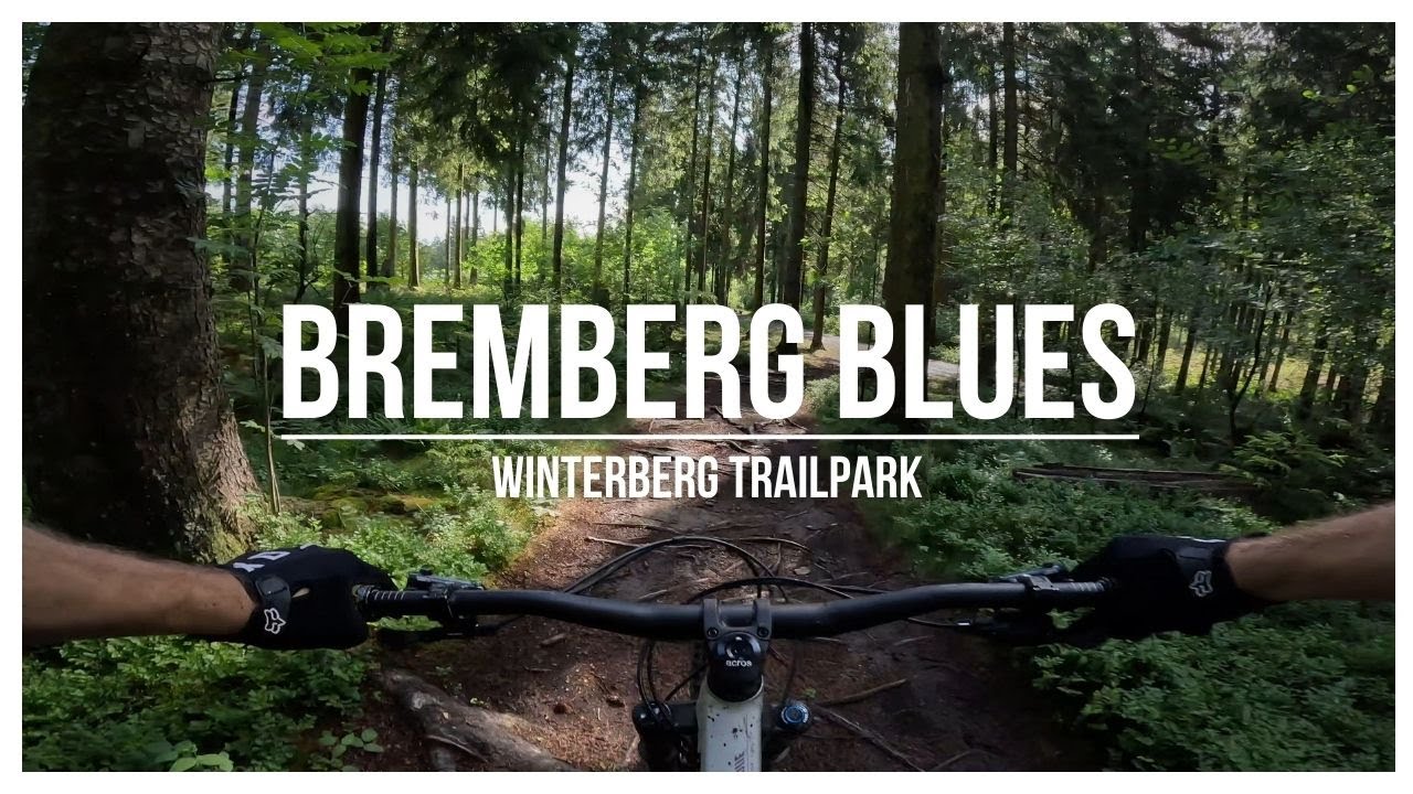 This MTB trail at Trailpark Winterberg is NATURAL and FAST [4K]