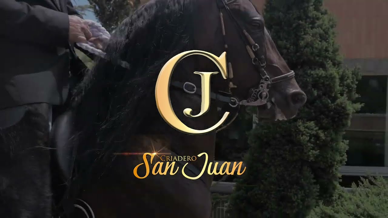 3J DE LA MARQUEZA 2022 por Del Caballista