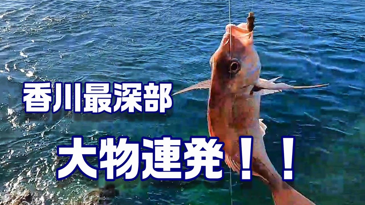 香川県で一番水深のある場所で投げ釣りしてみたら凄すぎた😭　【魚神の釣りいかれへんわ】