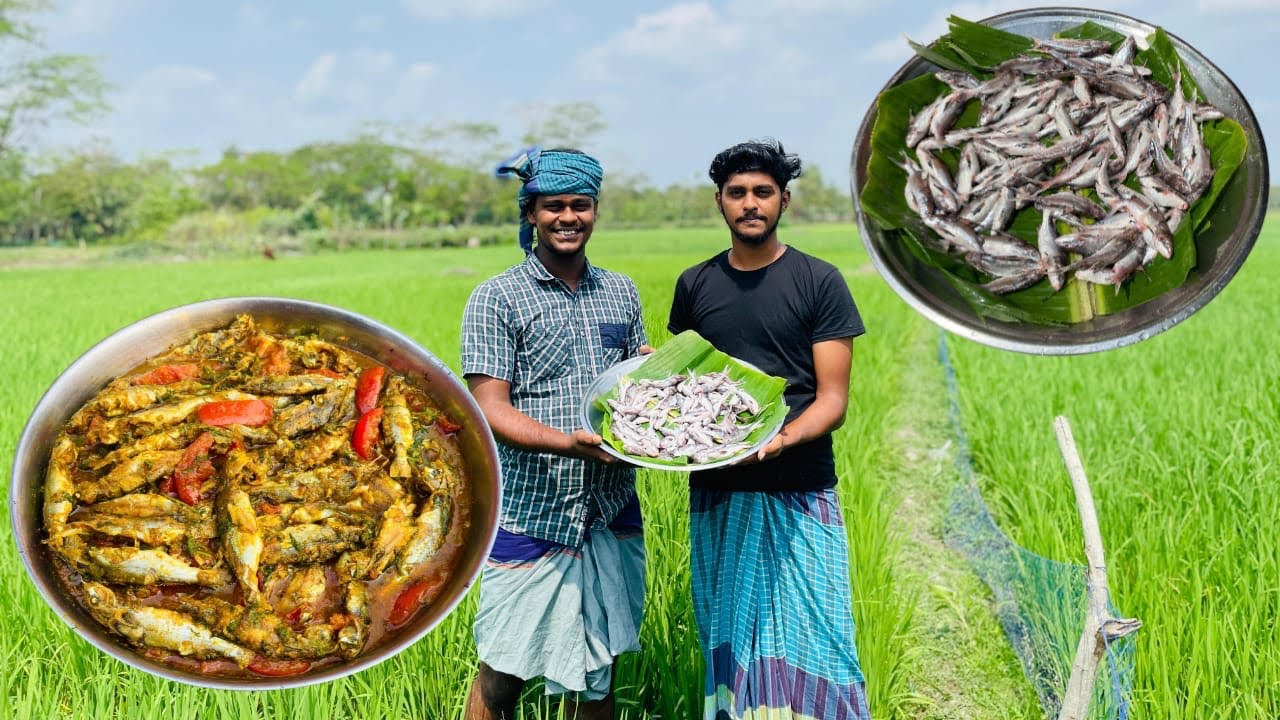 তেতুলিয়া নদীর টাটকা ঘোড়া কাঁডা মাছ টমেটো দিয়ে রান্না করে ছোটো আব্বারে লইয়া খাইলাম 