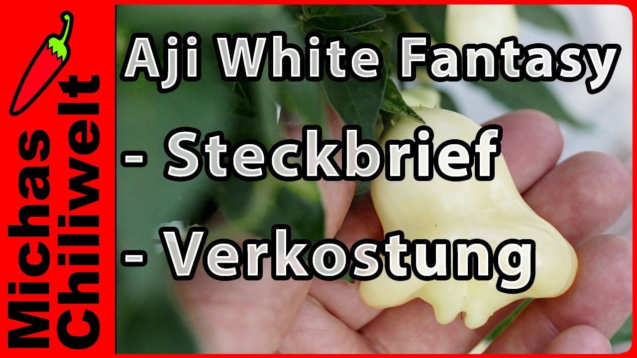 Aji White Fantasy  |  Glockenchili  |  Steckbrief und Verkostung  |  Chili  |
