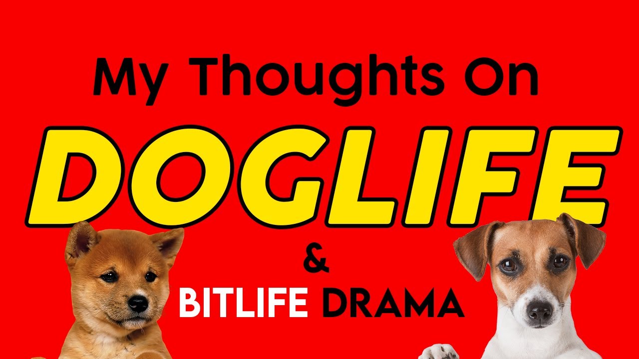 A Critique on DogLife & BitLife Drama