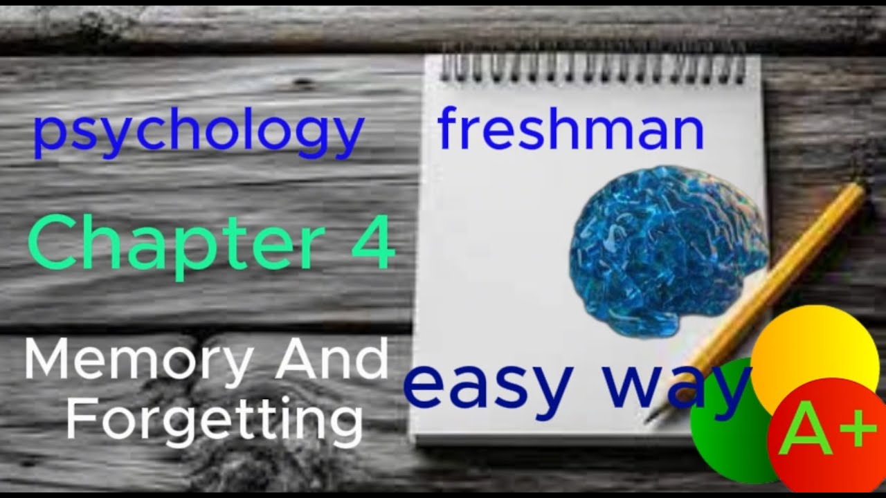 psychology freshman chapter 4 / memory and forgetting / seifu on ebs