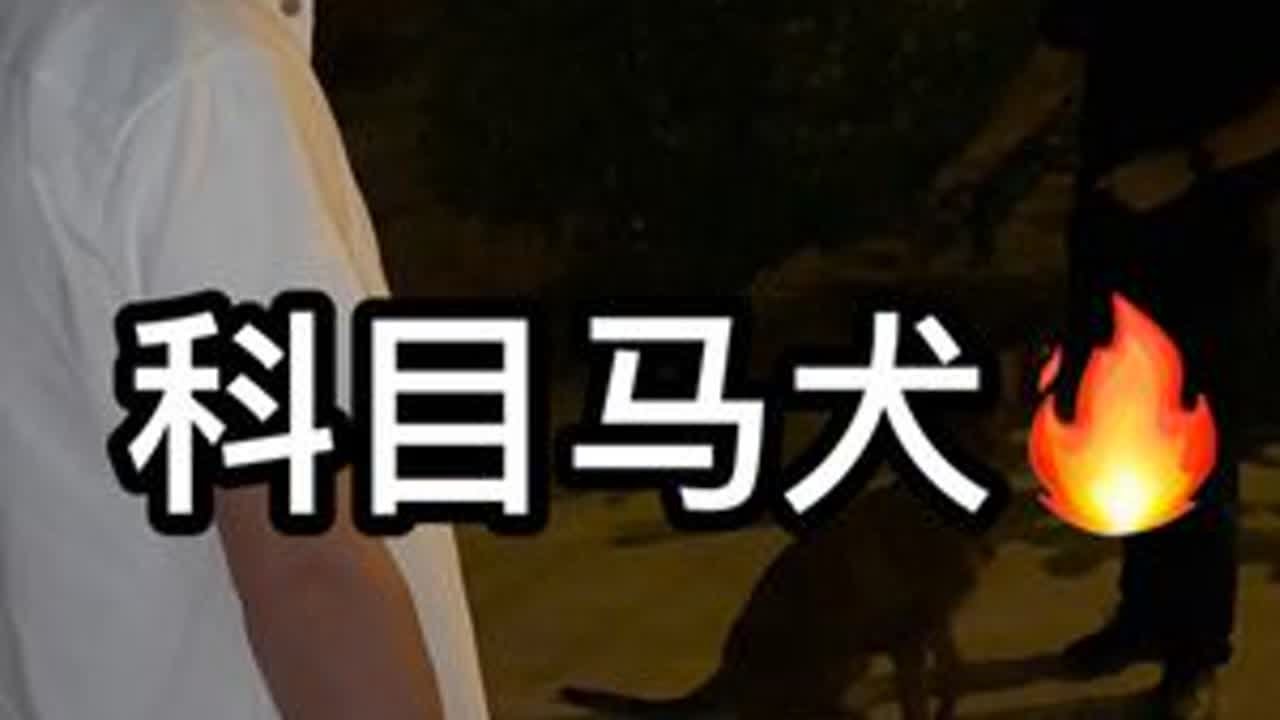 要的时候是金子不要的就是土，你们觉得大狗值钱吗？#马犬 #萌宠出道计划 #不养狗不知道养狗的乐趣 #同城热门