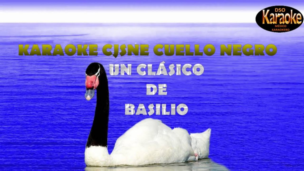 KARAOKE CISNE CUELLO NEGRO HD (BASILIO)