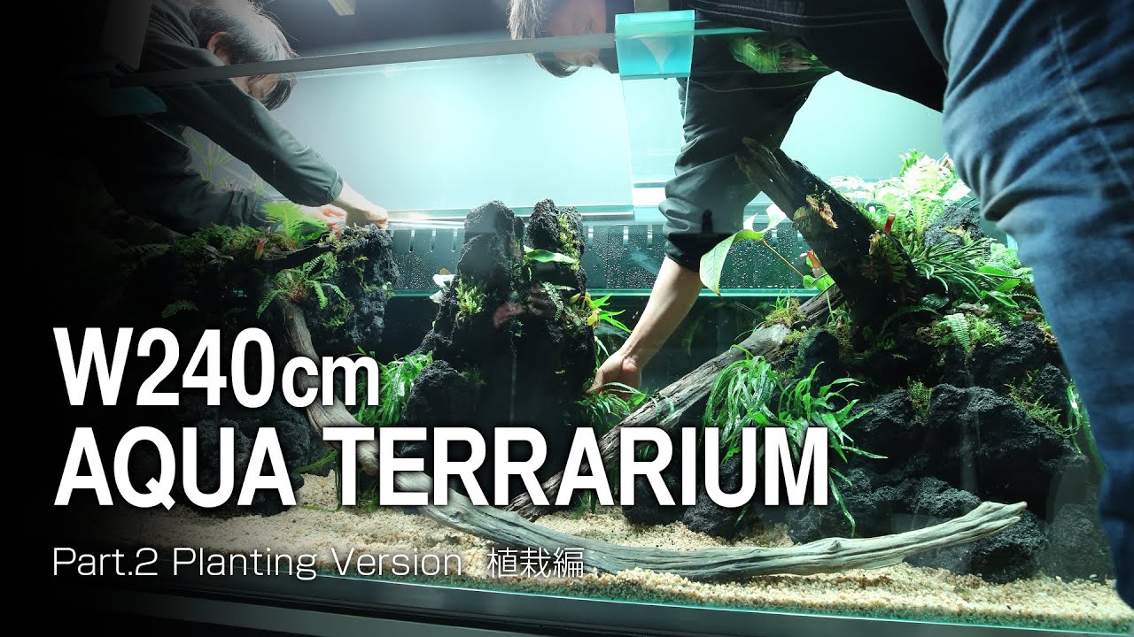 [ADAview] W240cm Aqua Terrarium Part.2 植栽編 Planting Version【EN/JP Sub.】