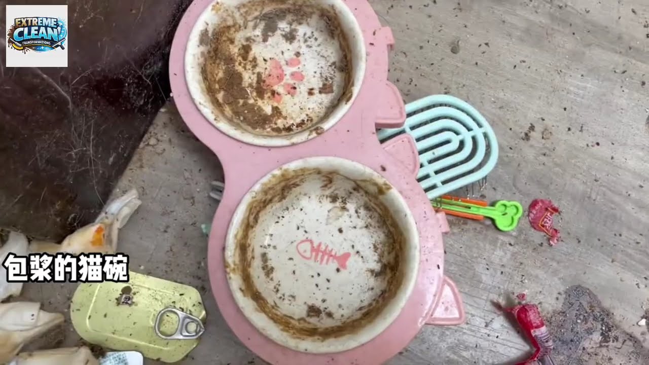 WARNING !!! EXTREME CLEANING: The Dirtiest House We’ve Ever Seen 