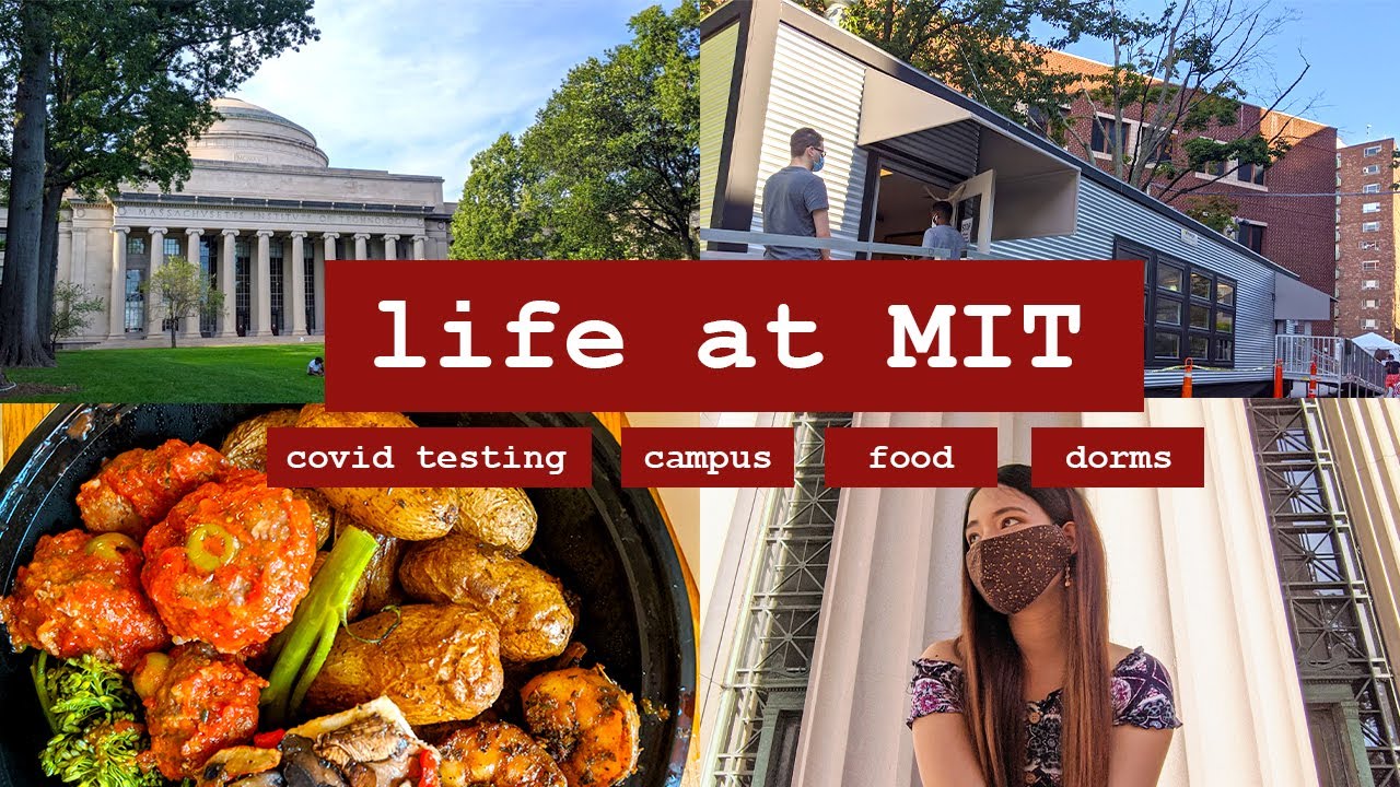 life in COVID MIT