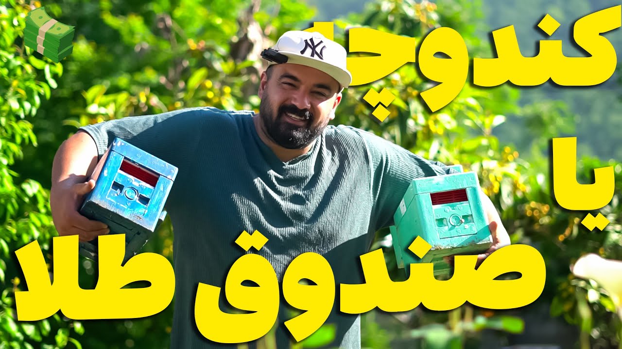 راز درآمد بالا در زنبورداری: تولید ملکه جفت‌خورده با کندوچه فومی 🐝💰