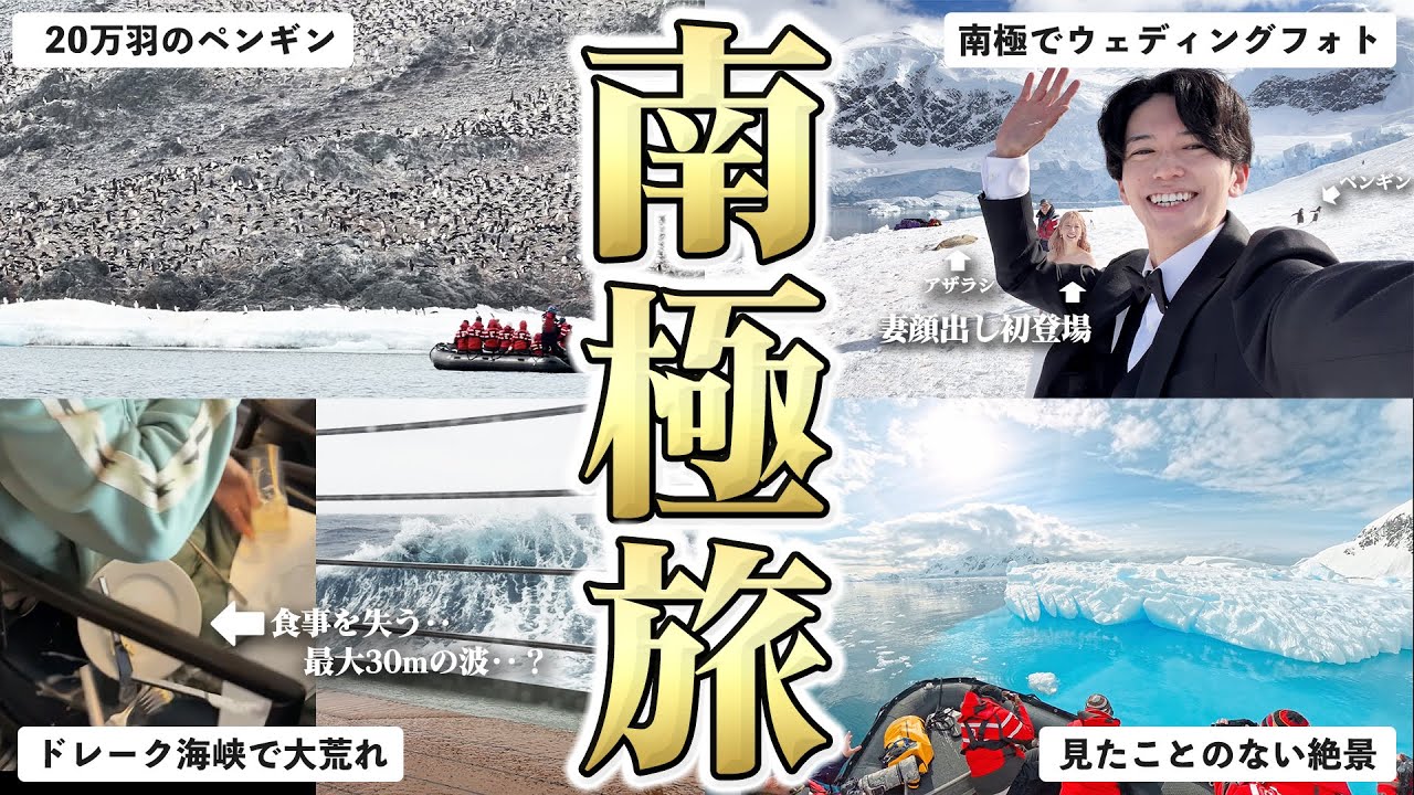 【夢の南極大陸🇦🇶】20万羽のペンギンや巨大な氷山。魔のドレーク海峡を越え、辿り着いた先の絶景・生きもの達・船内の様子を全てお見せします！【ウェディングフォト撮影・南極の海に飛び込みも体験】