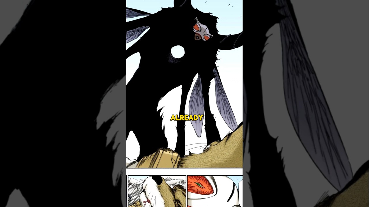 Did you know Tosen transformation was foreshadowed in bleach  ?