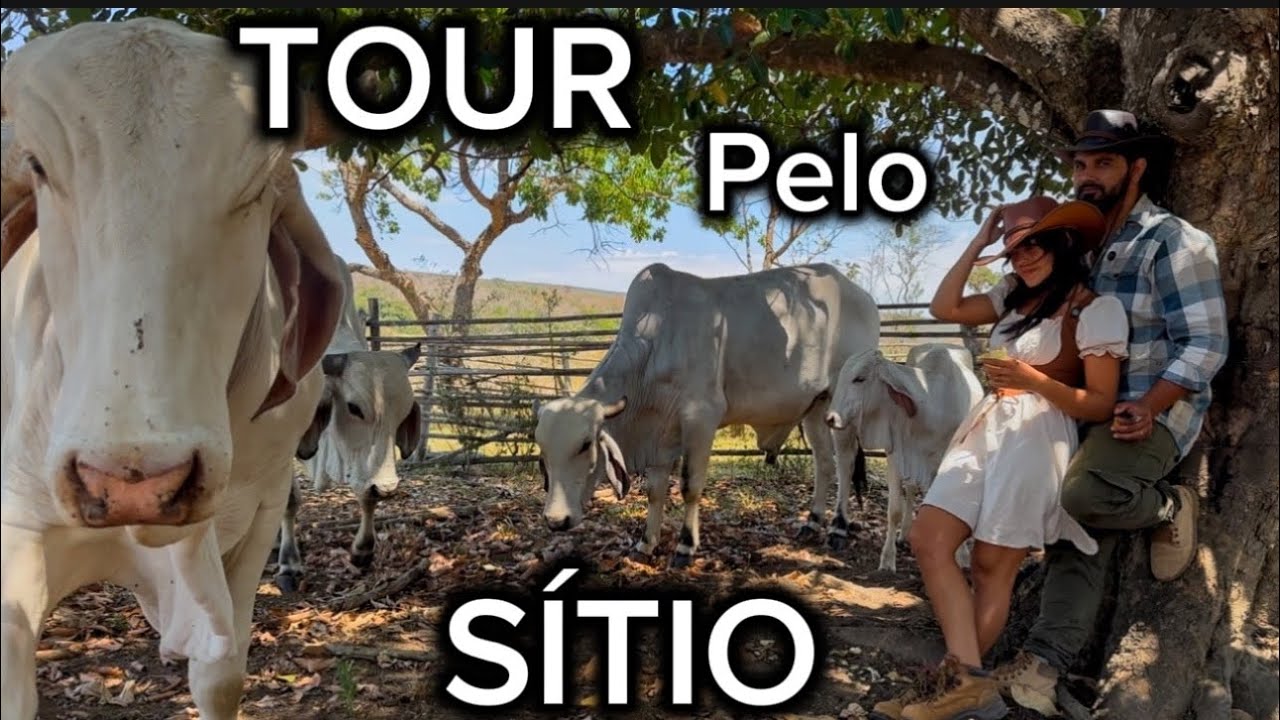 TOUR PELO SÍTIO ABANDONADO - CONHECENDO O SÍTIO DO ZERO - CASA ABANDONADA - QUINTAL - FRUTÍFERAS 🏡🪴