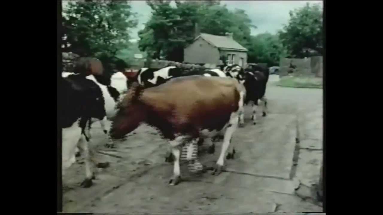 My World - The Dairymen - 1981