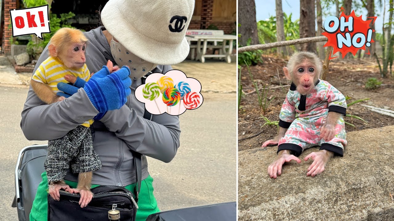 😱 Lucky Was Lured by a Stranger with Candy – Sunny Panicked and Cried for Help!