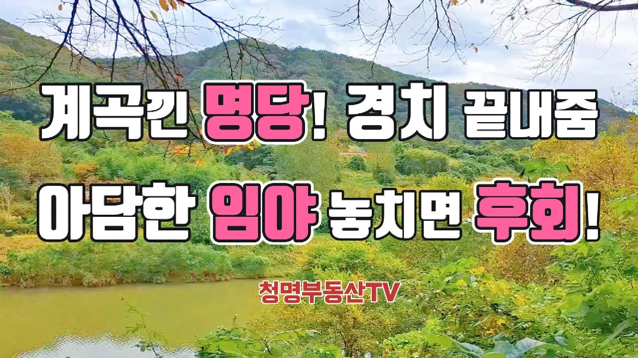 도로접.계곡물 가진 땅.전 같은 임야.땅앞에 섬진강.벚꽃길.경치좋은 산세.수려한 자연풍경을 가진 임야입니다.