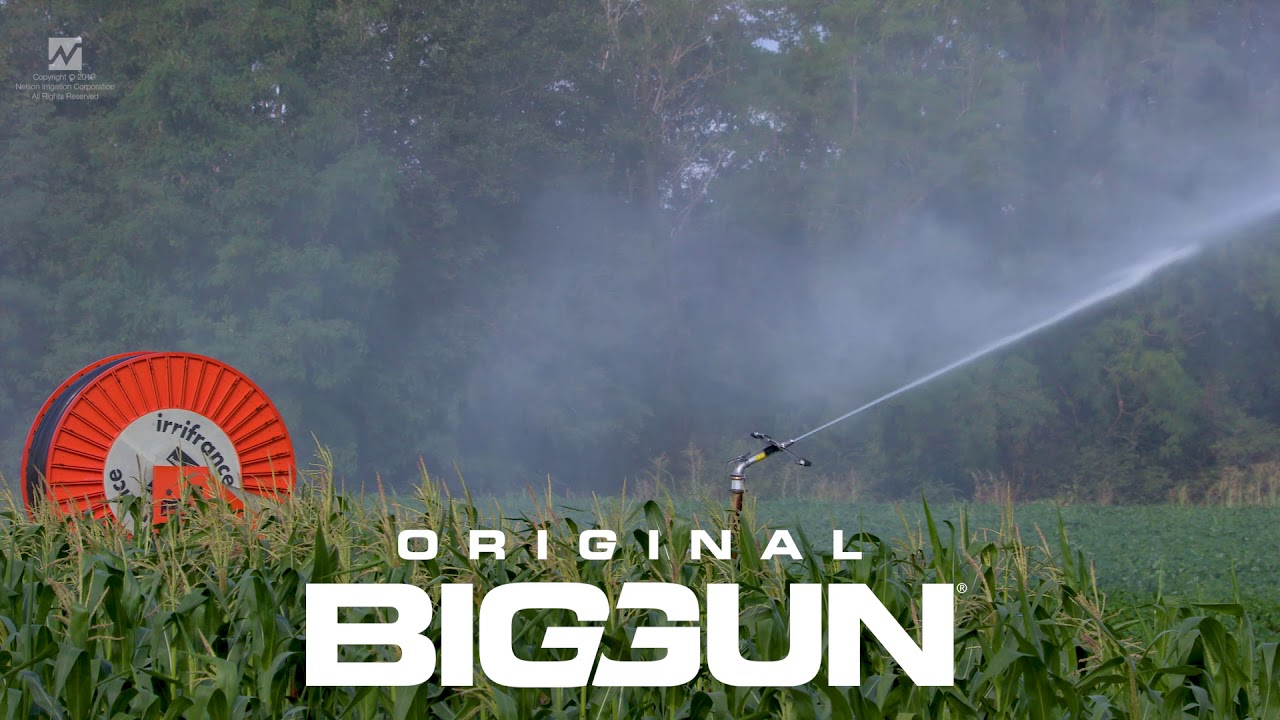 Traveler Hose Reel and the Nelson Big Gun® Sprinkler Irrigating Corn
